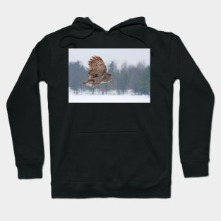 Flyby - Great Grey Owl Hoodie